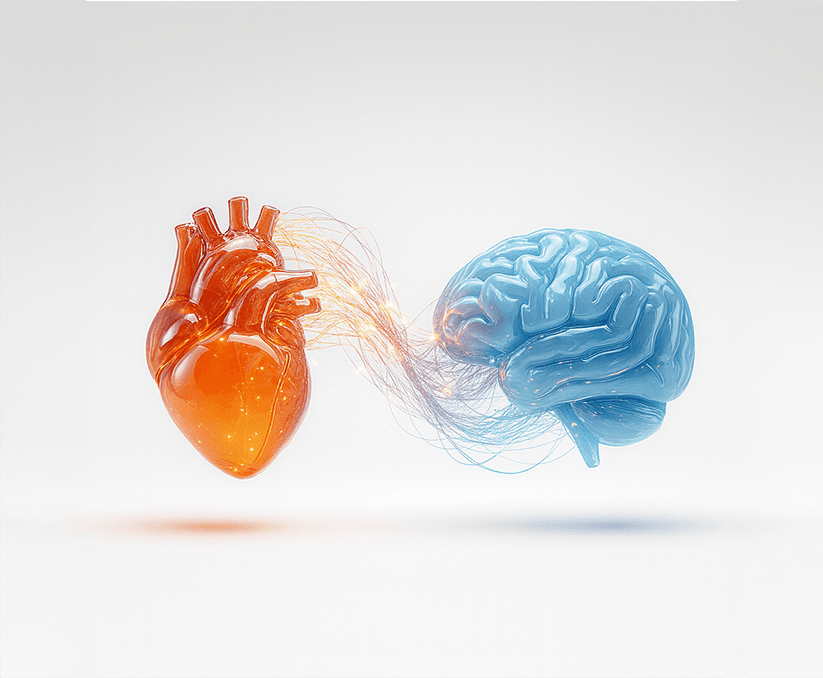 Heart and Brain Connection